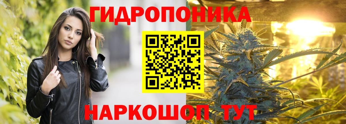 Шишки марихуана LSD WEED  Вход с VPN  Конопля семена  Химки  Каннабис OG Kush  Марихуана Bruce Banner 